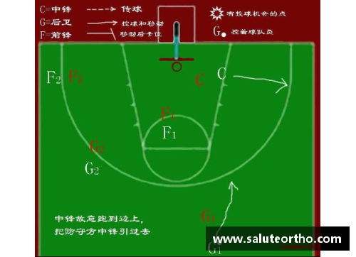 全面解析篮球球员分布与战术配置对比