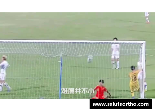 国内留洋球员：跨越国界的球场之路