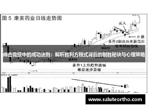 搏击竞技中的成功法则：解析胜利方程式背后的制胜秘诀与心理策略
